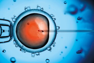 Wizualizacja mikroskopowego obrazu procedury in vitro