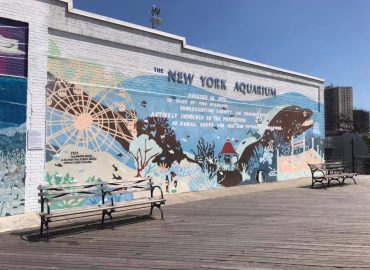 4. den za VELKOU LOUŽÍ, aneb pokračování mého příběhu