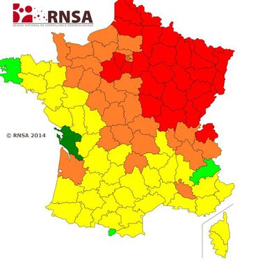 Alerte aux pollens