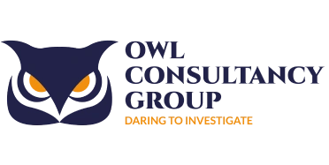 Owl Consultancy Group logo