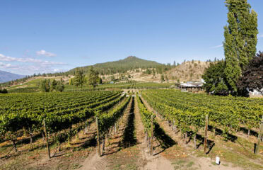 Peak Cellars