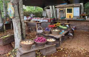 farmers market