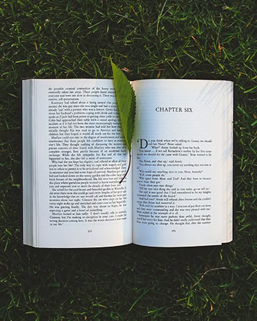 Book in park with leaf