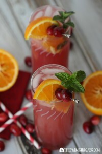 Cranberry Orange Fizzy - Feature 4