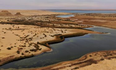 Whale Valley Camp Fayoum Oasis