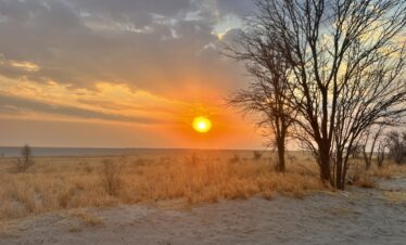 Die Makgadikgadi Pans
