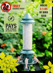 Squirrel Repellent Bird Feeder
