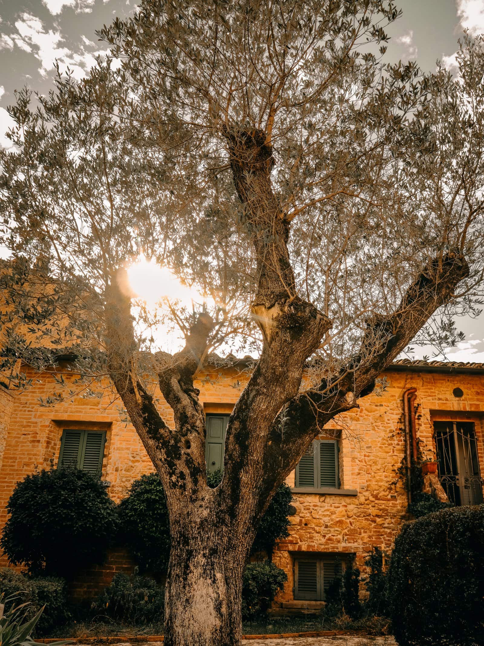 Photographe videaste je capture chaque moment avec naturel et émotion.