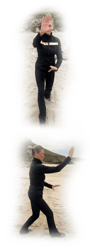 Qi Gong 1 Qi Gong