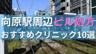 向原駅周辺で【ピル】を処方してもらえるおすすめクリニック10選！