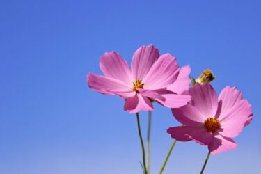 「刺激」の量を調節する