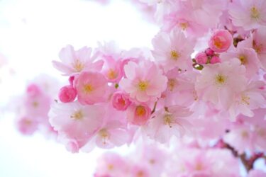 自分だけではないと思うことで、安心に繋げる