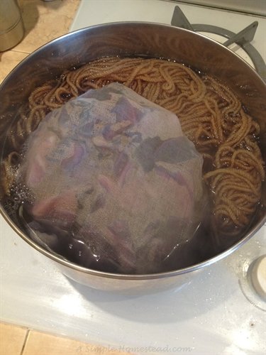 ASimpleHomestead.com - red cabbage dyeing, no change