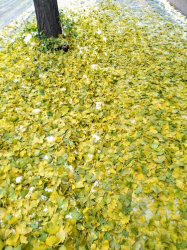 ここちよい空間を意識する