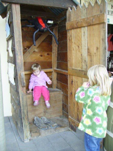 Red Back spider in the Loo, Glenrowan, Victoria