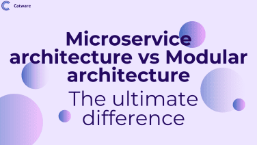 Microservice Architecture vs Modular Architecture: The Ultimate Difference