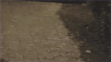 The debris on the path, taken from the crime scene video.
