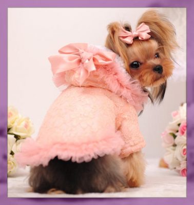 patrones de ropa para perros pequeños gratis