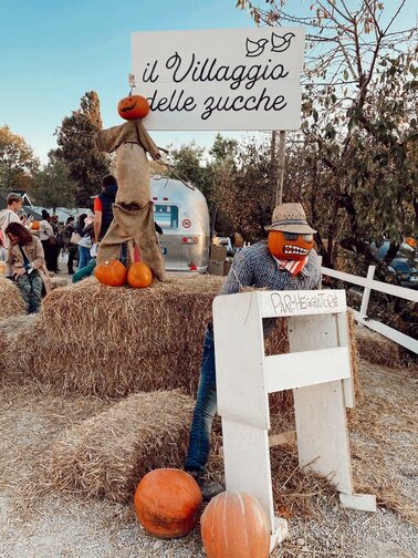 Campi di zucche veneto: Nonno Andrea