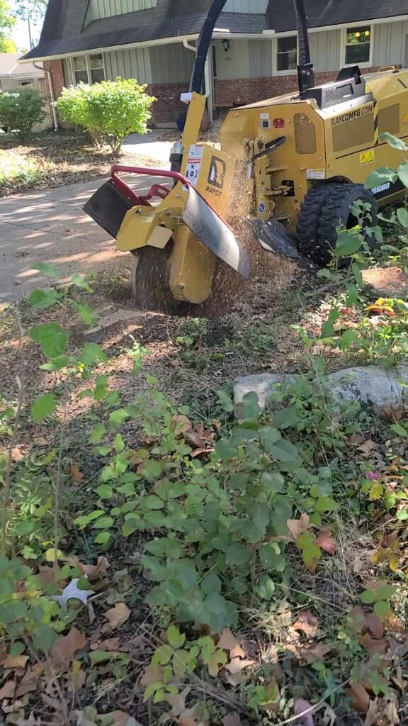 Rayco RG80 stump grinder removing a large stump in Wichita KS