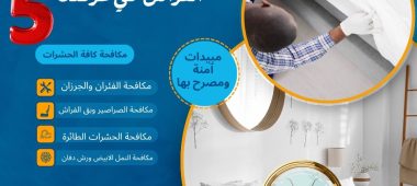 5 علامات خفية تؤكد وجود بق الفراش في غرفتك