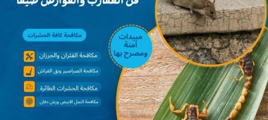 دليل أصحاب الاستراحات والمستودعات في الرياض للوقاية من العقارب والقوارض صيفاً