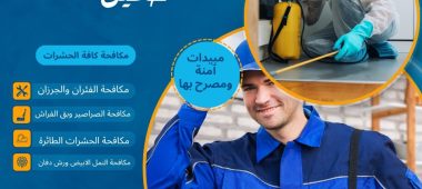 شركة رش مبيدات حي حطين