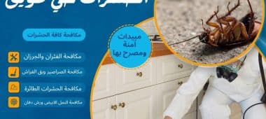 شركة مكافحة الحشرات حي طويق
