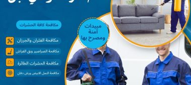 شركة مكافحة الحشرات وادي لبن