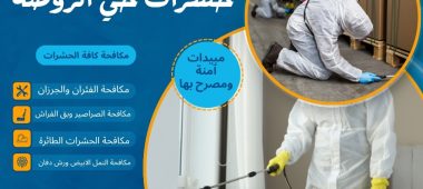 شركة مكافحة حشرات حي الروضة