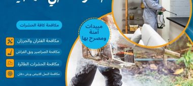 شركة مكافحة حشرات حي المصيف