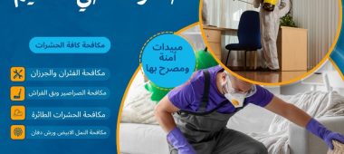 شركة مكافحة حشرات حي النظيم