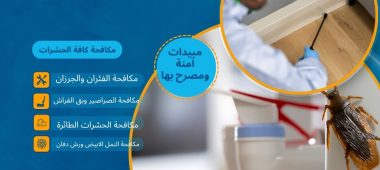 ظهرت لديك حشرات فجأة؟