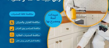 كيف تحضرين منزلك لعملية رش مبيدات آمنة وصحية؟