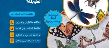 كيف تحمي منزلك من غزو الحشرات خلال فترة السفر والإجازات الطويلة؟
