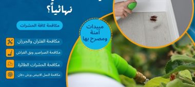 لماذا تفشل المبيدات العادية في القضاء علي الصراصير نهائياً؟