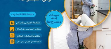 متى يجب مغادرة المنزل عند رش الحشرات؟