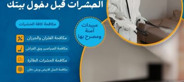 معايير السلامة التي يجب أن تطلبها من فني مكافحة الحشرات قبل دخول بيتك