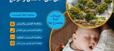 هل رش المبيدات بدون رائحة آمن على الأطفال والرضع