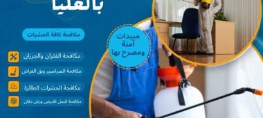 شركة رش مبيدات بالعليا