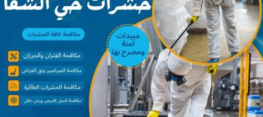 شركة مكافحة حشرات حي الشفا