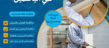 شركة مكافحة حشرات حي الياسمين
