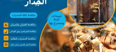 ازالة عش النحل من الجدار