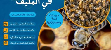 التخلص من النحل في المكيف