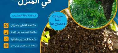 التخلص من النحل في المنزل