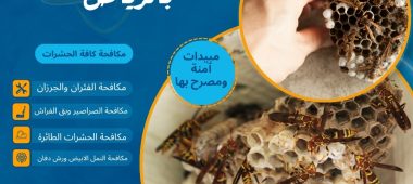 شركة ازالة الدبور بالرياض