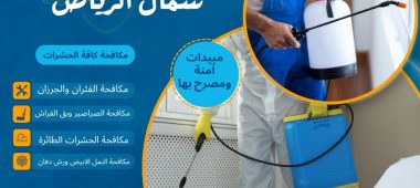 شركة رش حشرات شمال الرياض