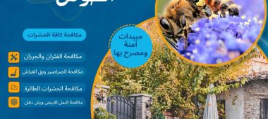 طريقة طرد النحل من الحوش