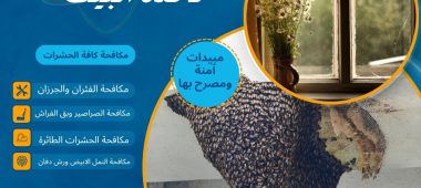 علاج تجمع النحل عند نافذة البيت