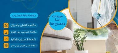 شركة رش حشرات شرق الرياض
